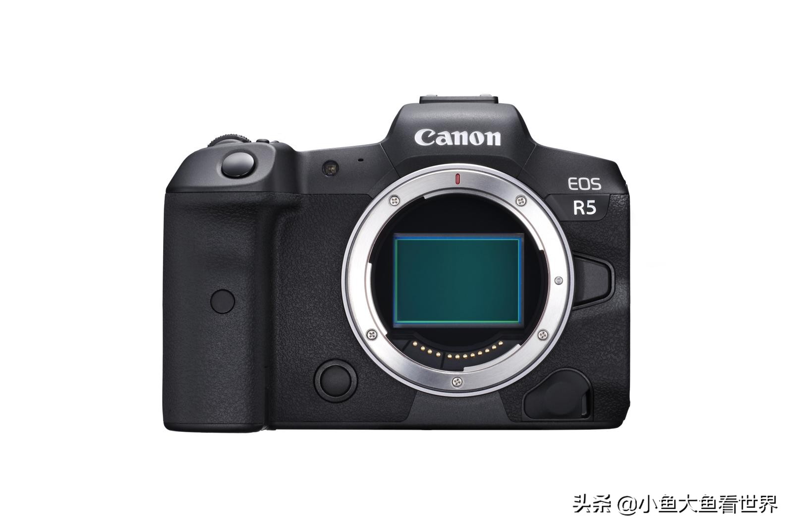 佳能尼康索尼600mm镜头对比 (相机入门级的索尼尼康佳能哪个好)