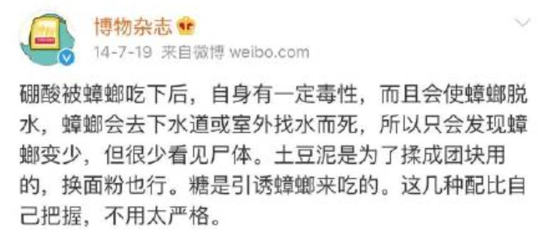 巨型蟑螂南方大蟑螂,广东巨型蟑螂和北方蟑螂对话