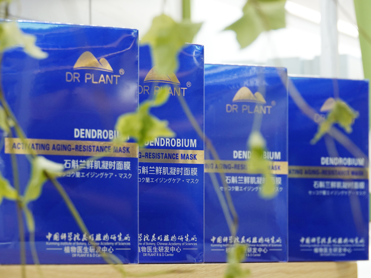 最受日本追捧的国货,首个进入国外市场的中国品牌