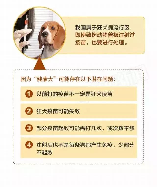 被猫狗咬伤如何正确处理,被猫狗咬伤十天了还能打针吗