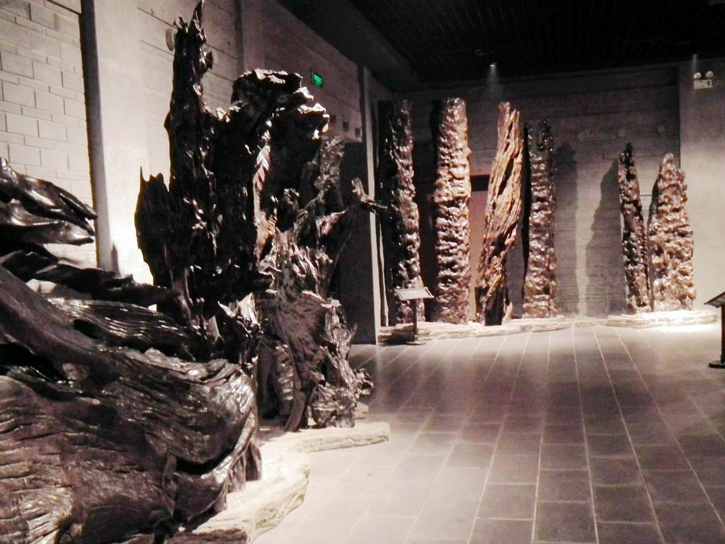 地下挖出千年阴沉木,中国出土最大的阴沉木