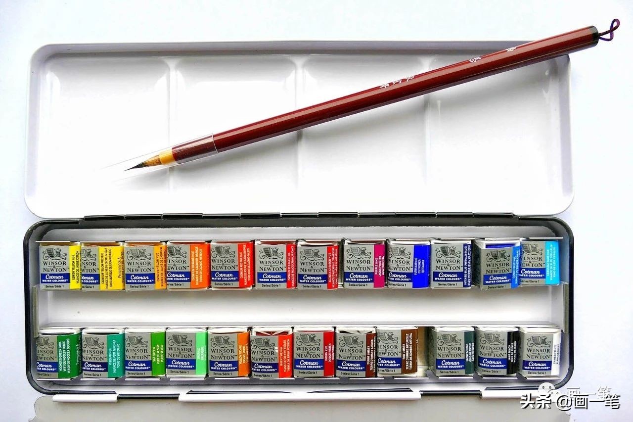 水彩画蝴蝶简单好看的作品,水彩画美丽的蝴蝶