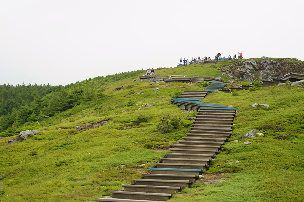 加拿大汉密尔顿旅游景点,卡伯特公路