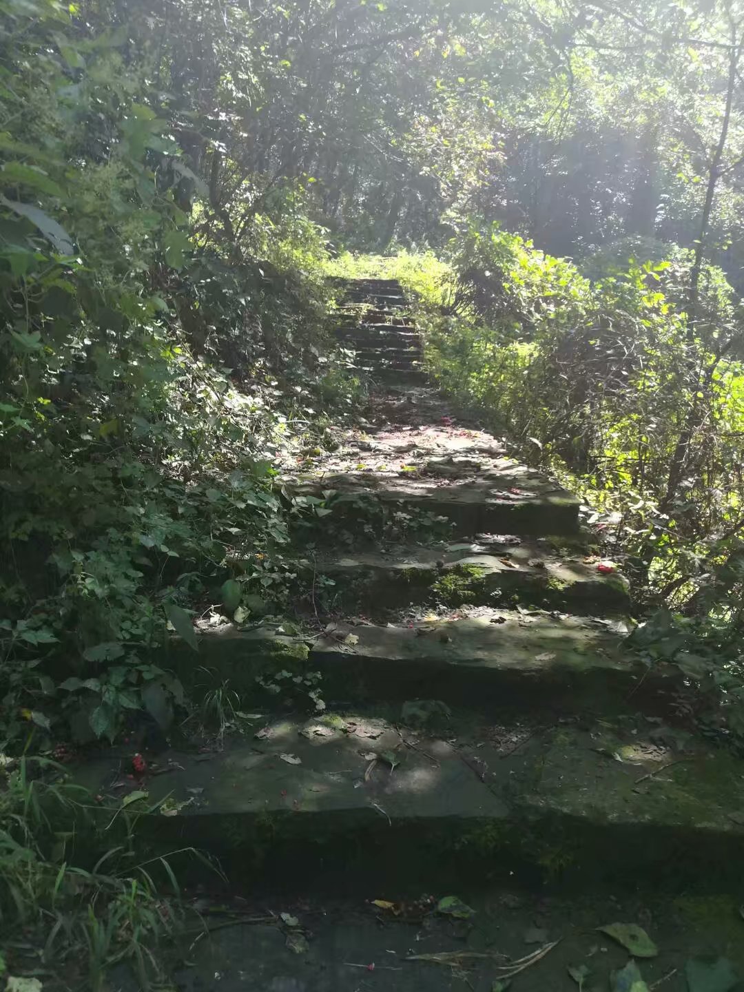 少华山一日游时间攻略详细,少华山国家森林公园路线图