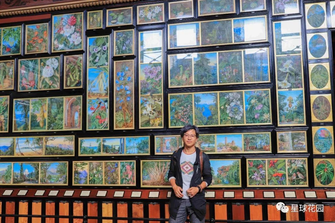 二木带你游花园|邱园（kewgarden）离我们到底有多远？