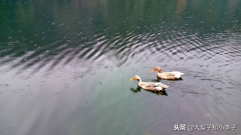 moto照相,moto拍照效果