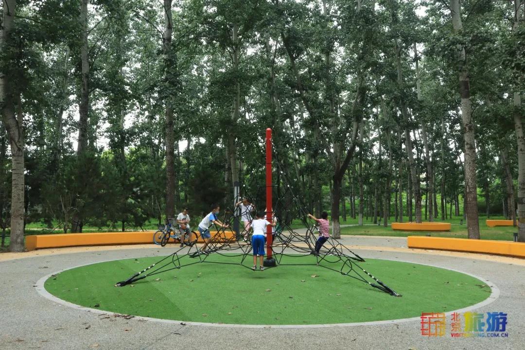 免费！市区就有“小森林”，花海芳香扑鼻！还有美好的祝福送给你