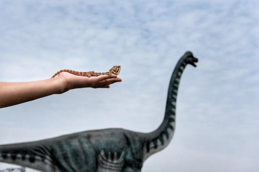 占地30000㎡！这艘建在安华汇天台上的巨船，竟是亲子乐园