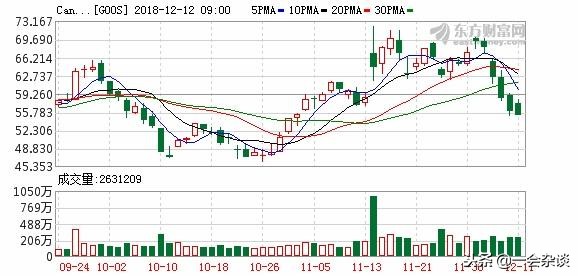 这个冬天,天气很冷,加拿大鹅很出名,波士登很火,你会选择谁