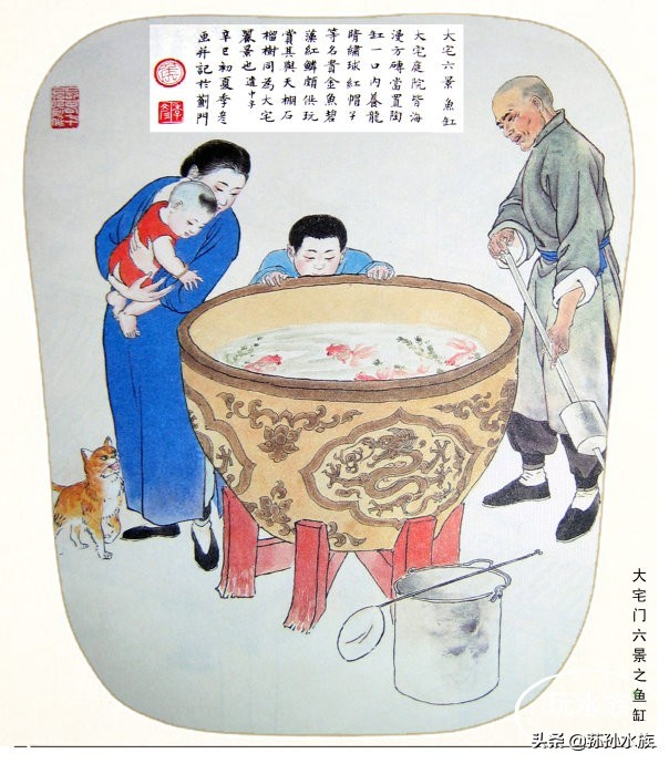 古法养金鱼高手,古法养金鱼抽底