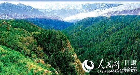 张掖旅游免门票政策最新,甘肃旅游景区免门票条件是啥