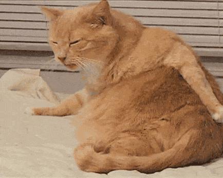 湿疹的克星你知道是什么吗,湿疹是免疫系统出了什么问题