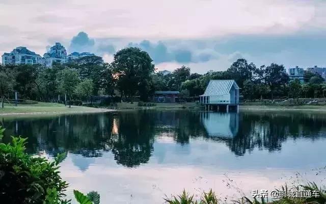 深圳60个最适合一日免费景点,暑假深圳旅游必去十大景点