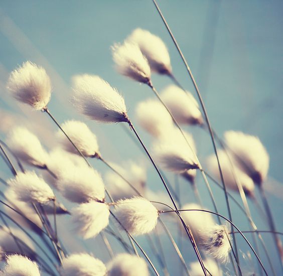 摄影师怎么拍出自己风格,摄影师怎么拍摄中国风