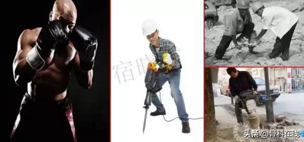 手绘科普类,手绘类科普