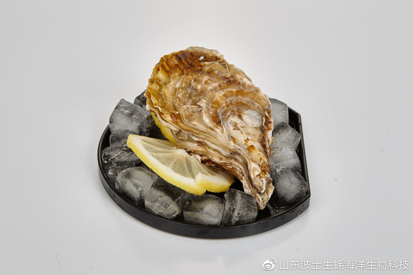 生吃生蚝怎么预防寄生虫,生蚝里的寄生虫吃什么药