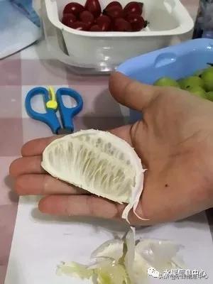 在网上买水果遇到假货怎么办,网上购买水果会被坑吗