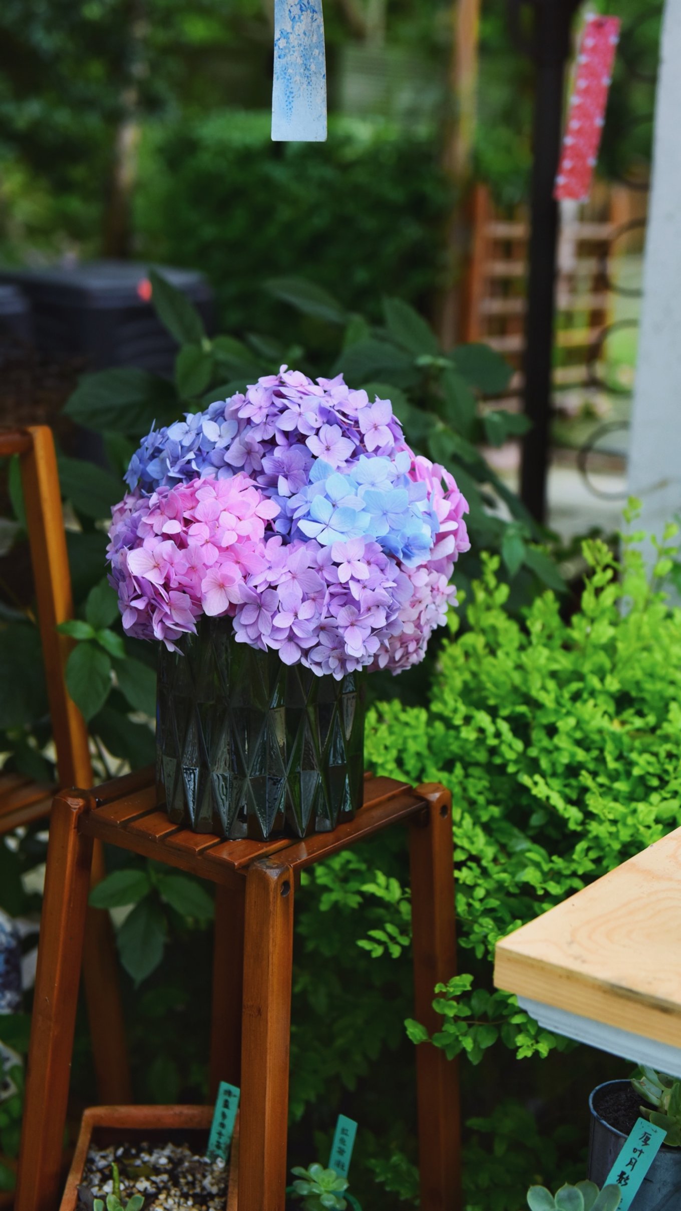 绿色世界花的海洋，在十里芳菲宠爱自己的24小时