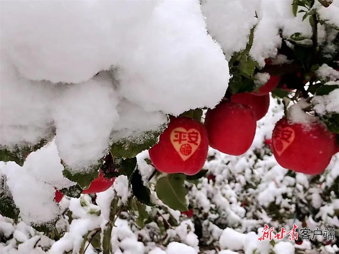 平凉崆峒区四路车现在停运了吗,平凉长途客车停运了吗
