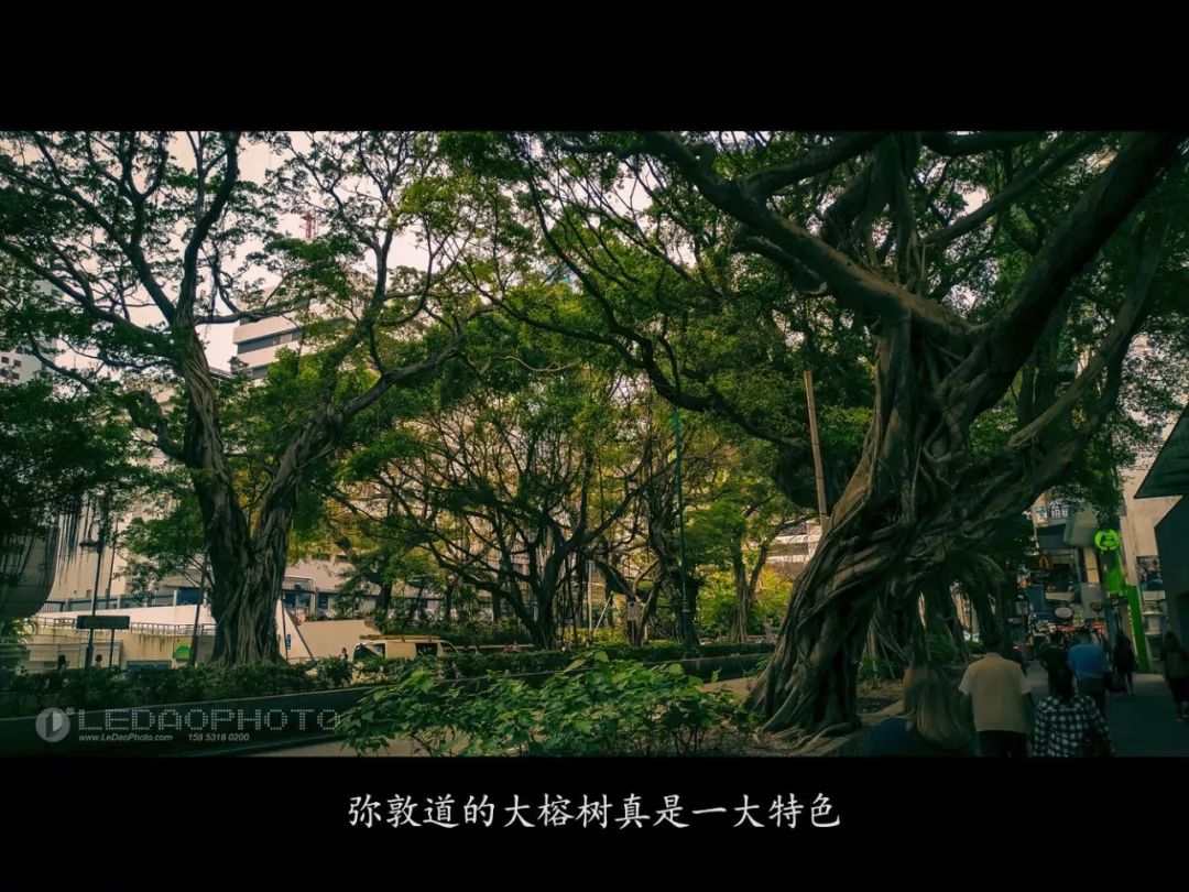 香港景区摄影作品,香港一日游摄影攻略