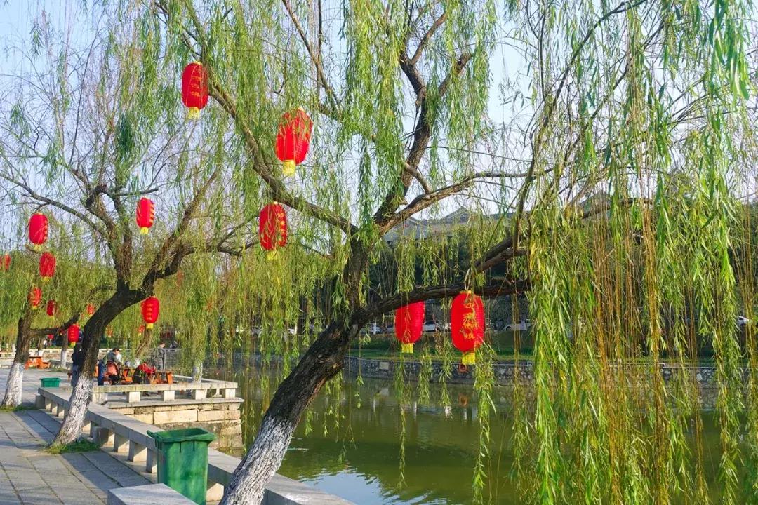 小年来啦，你家年货备齐了吗？小番走进番禺各大市场，收获满满的幸福……