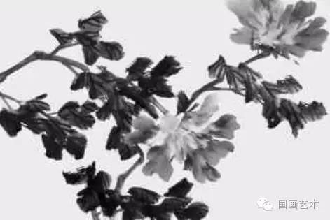 写意牡丹的画法步骤视频教程,王雪涛写意牡丹画法视频大全