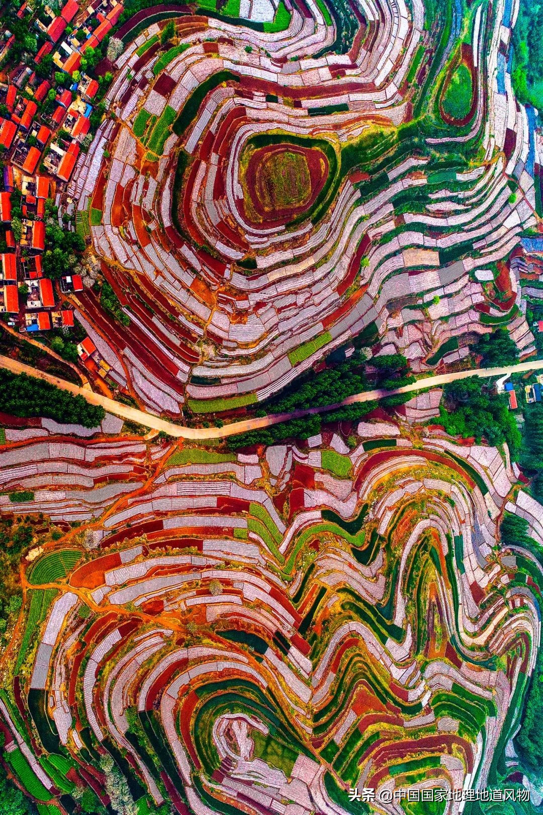 济南青岛临沂,青岛和临沂差距有多大