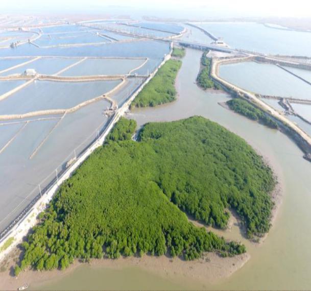 福清古镇推荐,福清旅游景点打卡地推荐