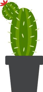 50种鲜切花花语,每个花艺师都要知道