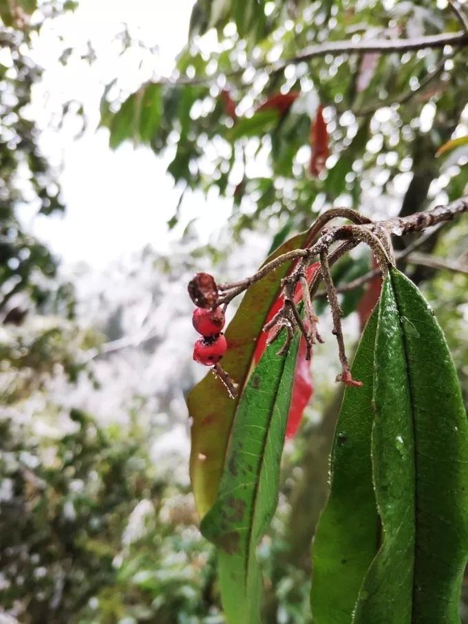 成都五一旅游人少亲子游景点推荐,五一成都旅游去哪儿玩