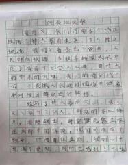 《风雨同舟“豫”你在一起》—濮阳市绿城小学红领巾在行动