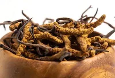 出国旅游过海关被扣是什么原因,出国旅游被海关劝返视频