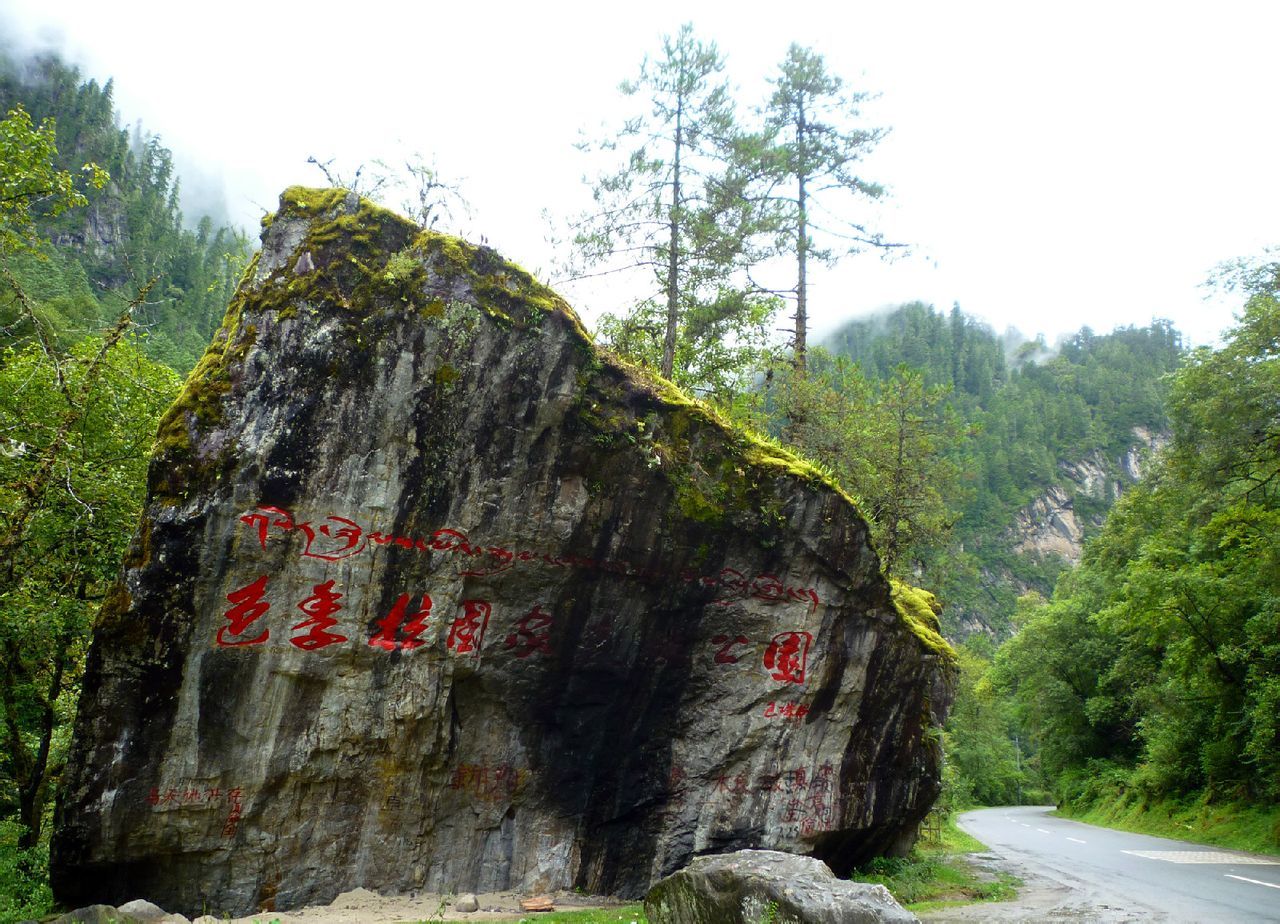 全国十大森林公园,中国十大森林公园