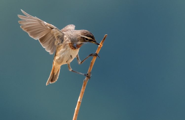 情人岛拍摄地点,情人岛航拍视频
