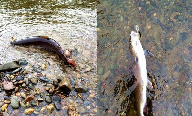 俄罗斯人是怎么钓鱼的,俄罗斯人钓鱼攻略