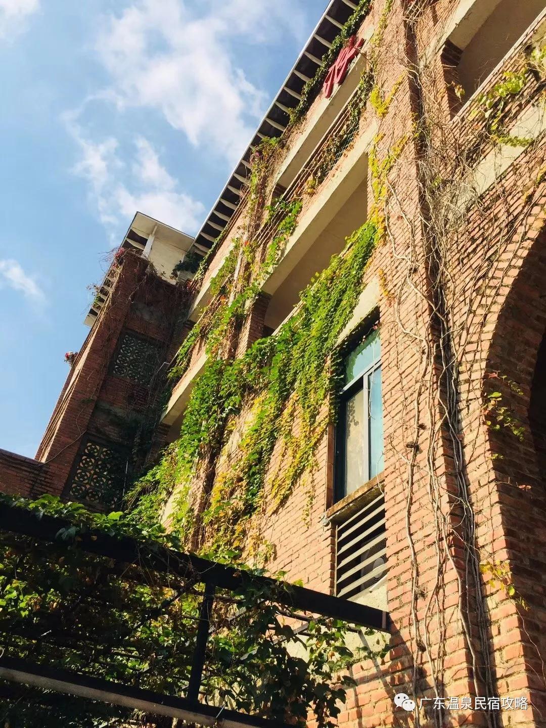 探寻江门那琴半岛----电影“与青春有关的日子”拍摄地