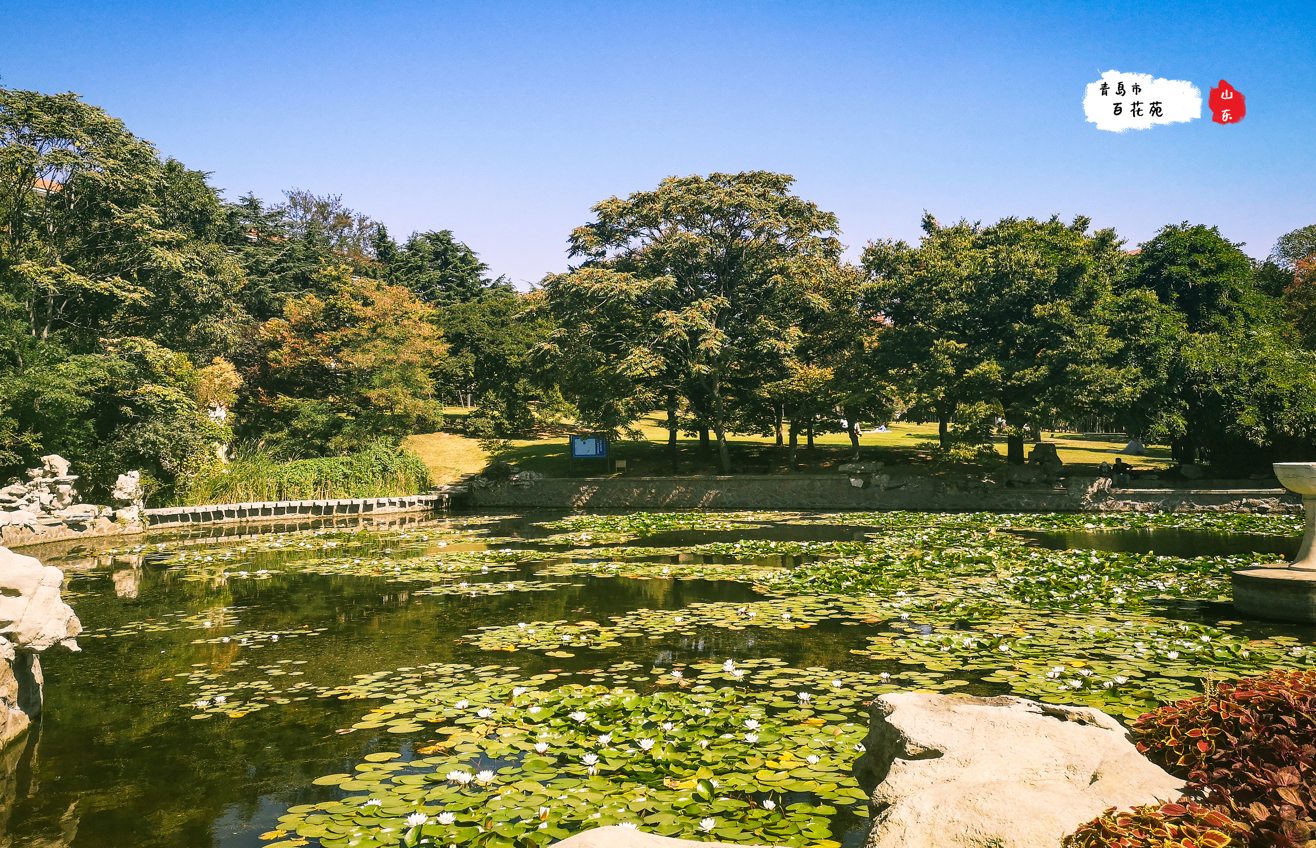 一个人在青岛漫步,青岛散心又幽静的地方