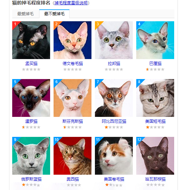 家里有六只猫,家里养猫咪有猫毛怎么办