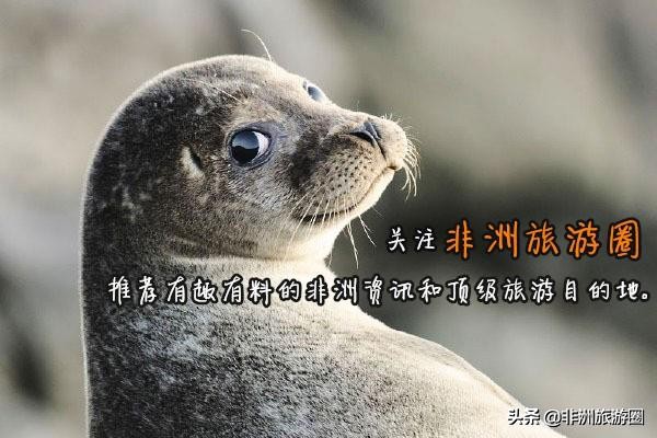 在非洲，你需要了解的正规小费VS变相小费大全