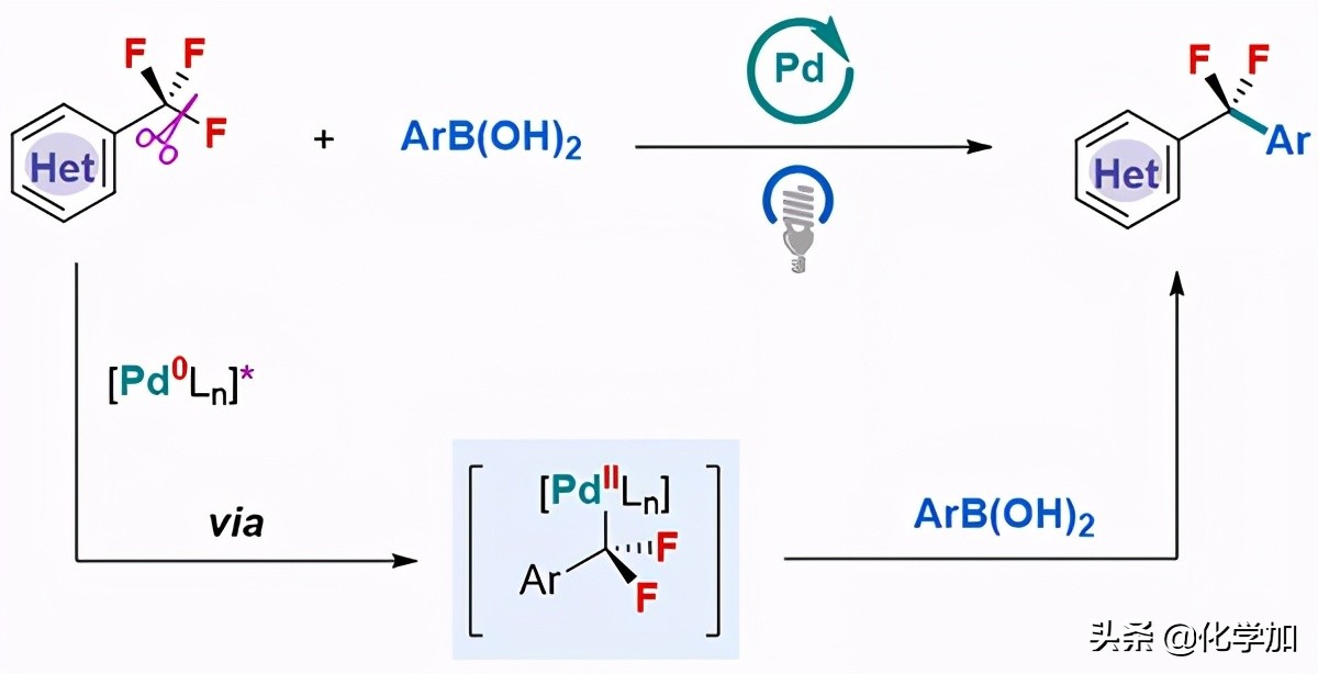 上海有机化学研究所实验室,上海有机所和成都有机所