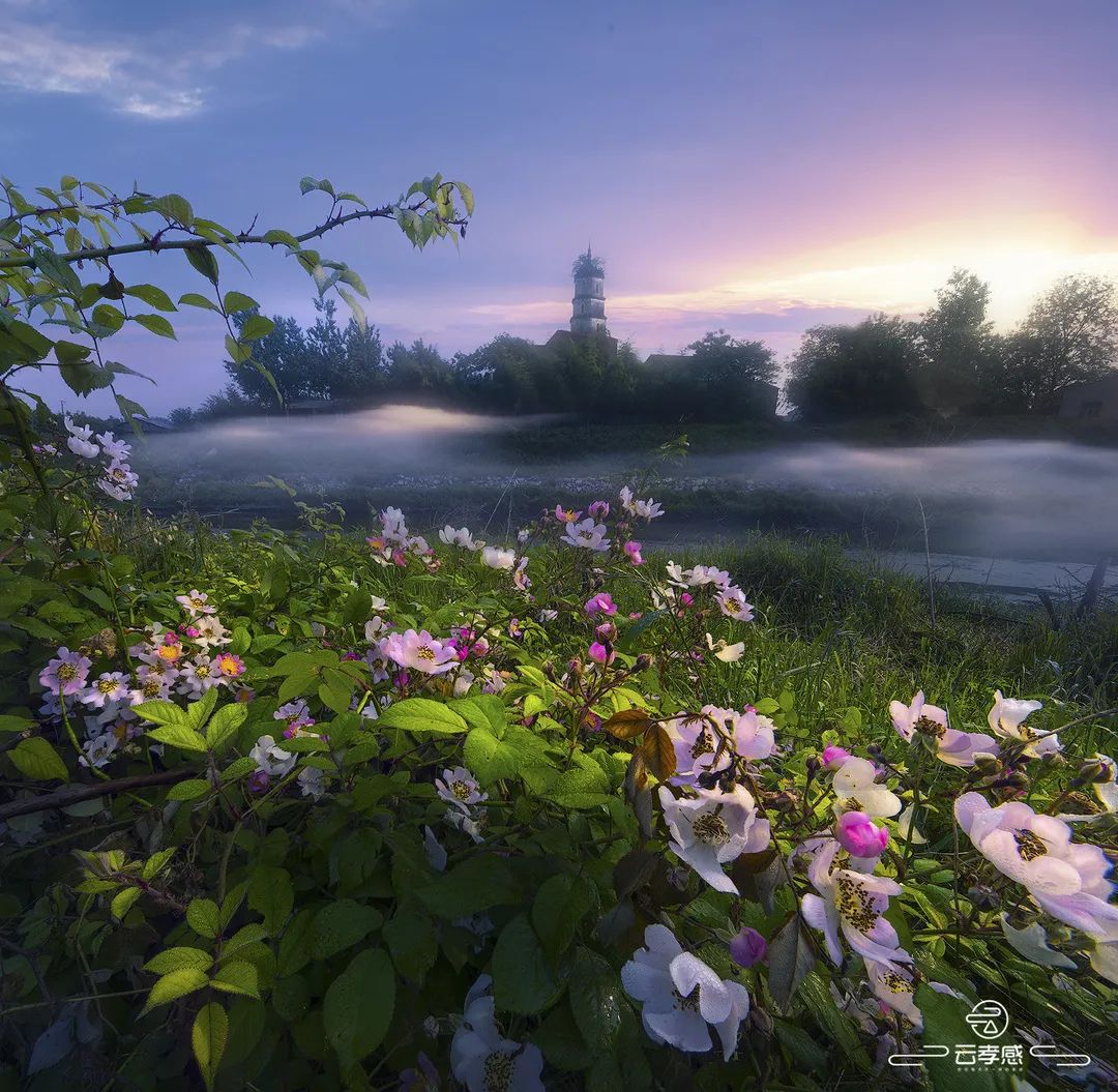 李鸿飞摄影作品初春,李鸿飞画家