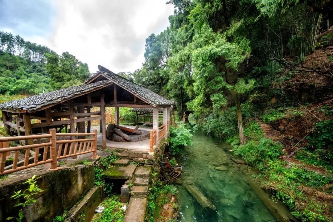 乌当区贵阳志愿者,旅游民宿志愿者招募