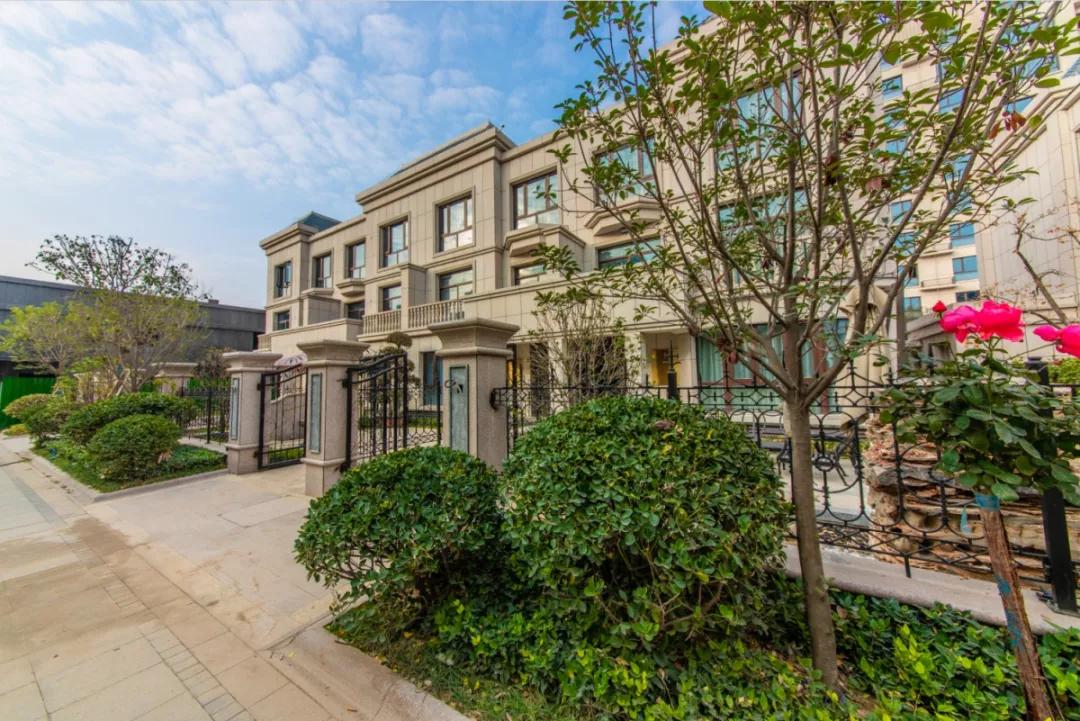 “大人物”都来了！菏泽这里注定会很火