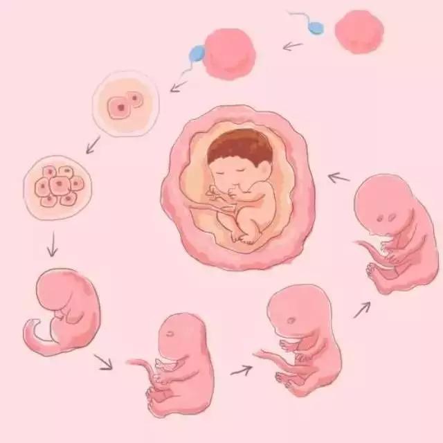 杭州12岁男孩把笔插入自己的尿道!医生说,这方面的教育不能回避