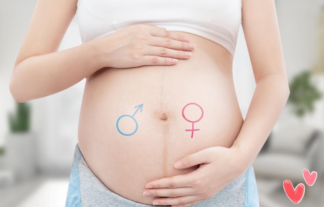 孕期感觉宝宝胎动一直是在左边,怎么判断胎儿左侧胎动多少