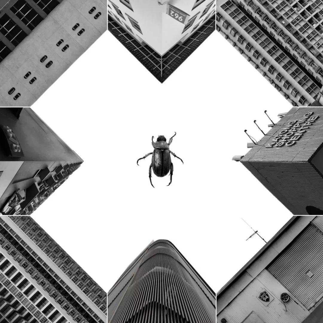 晒一晒九宫格图片,怎么晒九宫格