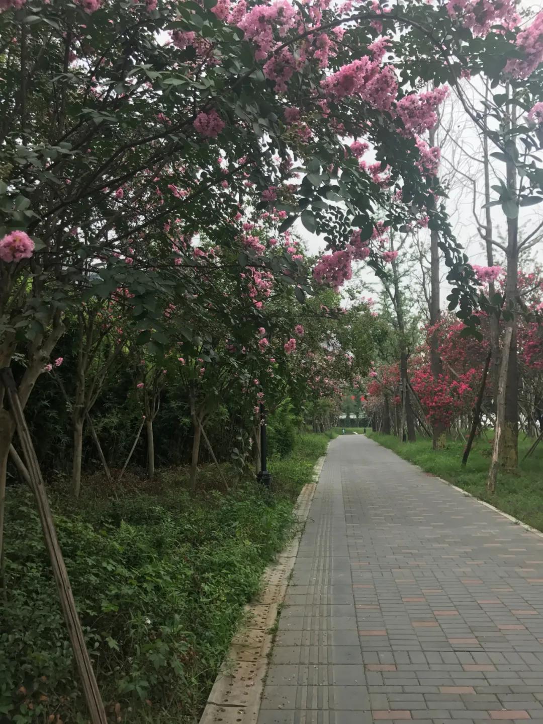 西三环金沙板块那块60个亿的地来了