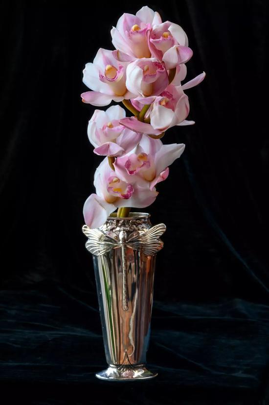 鐨囧鐨勫ア鍗庝笌灏婅吹,涓栫晫鐨囧寰$敤娓呭崟