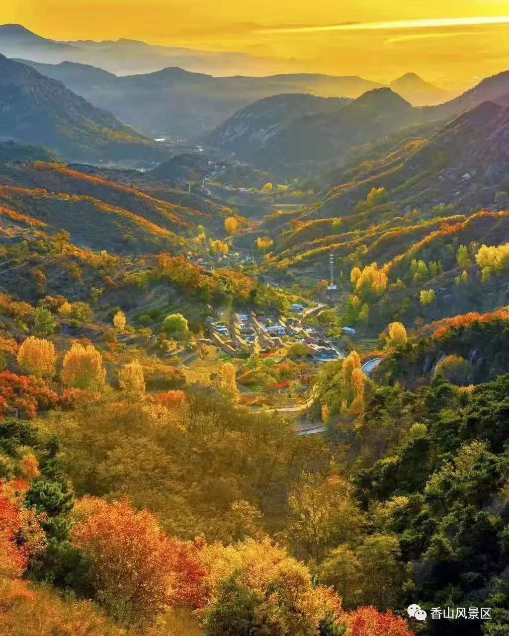 济南免费遛娃的地方,济南市十一带娃游玩好去处