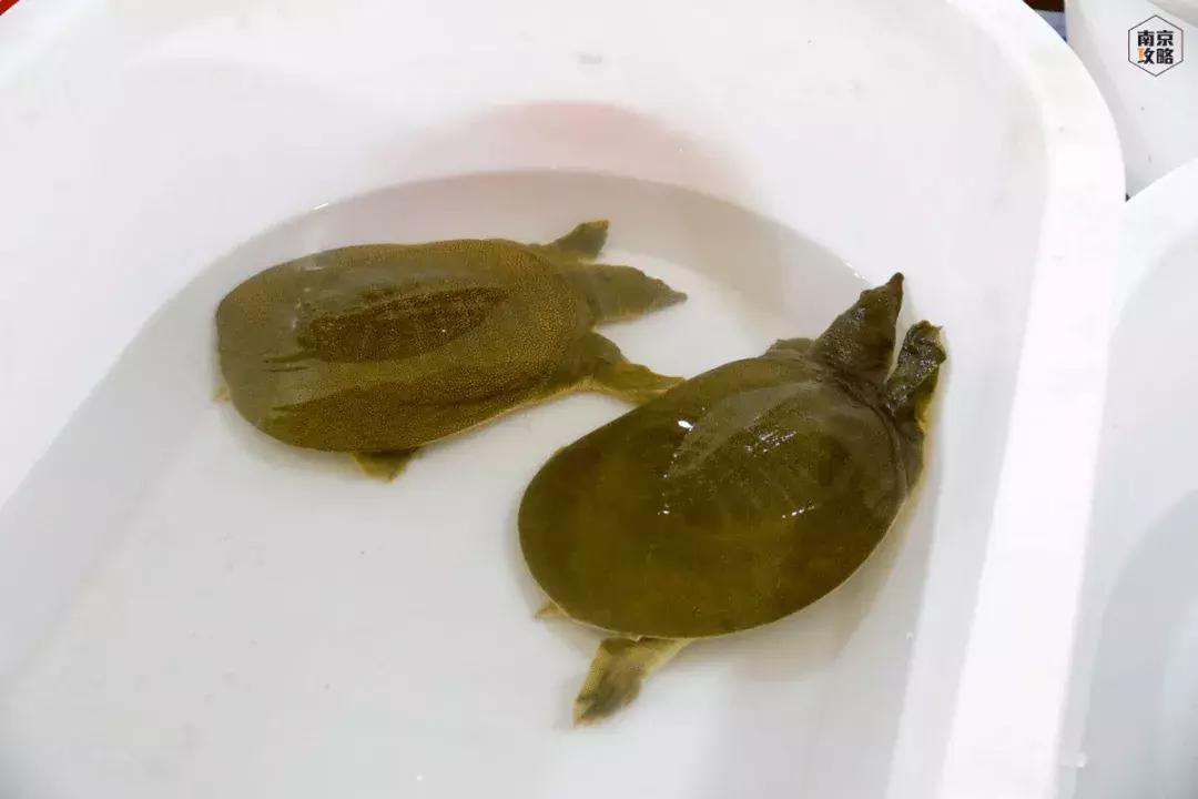 众彩物流公司年货,众彩物流年货大集